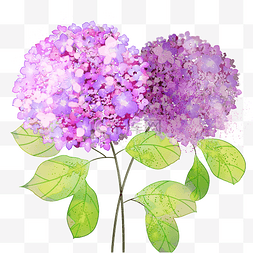 蓝紫色小花图片_蓝紫色水粉色调花卉清新小花朵水