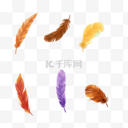 彩色手绘多种羽毛元素
