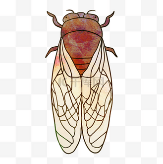 蝉鸣厚涂插画个人vip和企业vip免费下载免抠元素益虫蝉的卡通插画个人