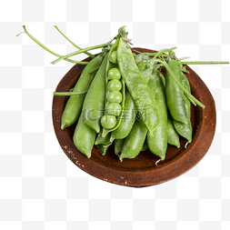 蔬菜豆子图片_健康饮食绿色豌豆蔬菜
