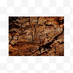 废弃裂缝木头