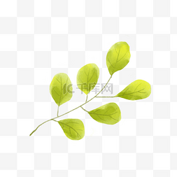 原创绿色背景图片_可爱卡通树叶夏天元素插画绿色黄