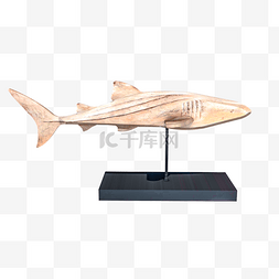 3d鲨鱼鲨鱼图片_3D鲨鱼装饰