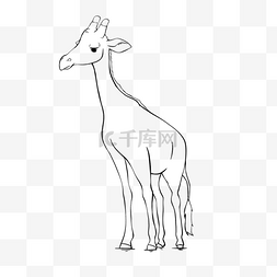 手绘黑白儿童画图片_giraffe clipart black and white 线稿长颈