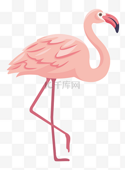 漂亮的粉色火烈鸟插画
