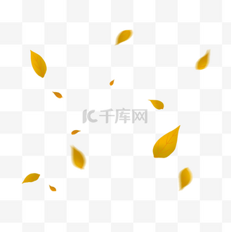 飞舞落叶图片_飞舞落叶素材-飞舞落叶图片大全-千库网