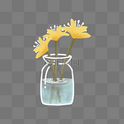水瓶里的黄色花朵