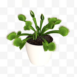 仿真立体植物图片_仿真立体绿色植物