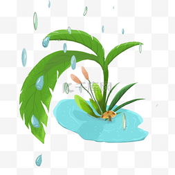 春季节气雨水