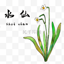 炎黄尝百草图片_手绘彩色中药水仙装饰画