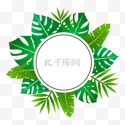 绿色树叶圆形边框图片_绿色的龟背竹边框