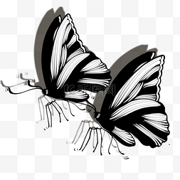 黑白手绘蝴蝶线稿