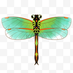 蜻蜓免扣PNG图图片_漂亮的蜻蜓风筝插画