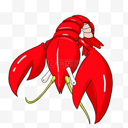 大钳子红色龙虾插画