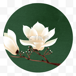 淡雅植物植物图片_花卉复古淡雅底纹中国风花卉装饰