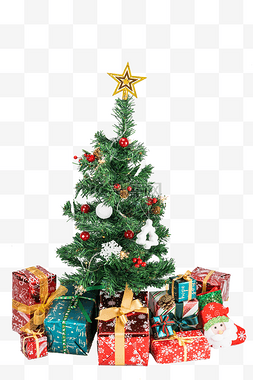 树上的蝉图片_圣诞树上的星星