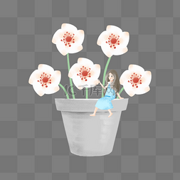白色的花朵和女孩