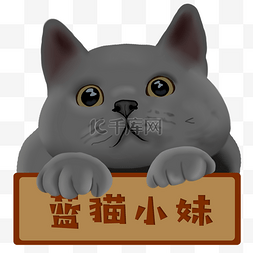 简约小清新蓝图片_可爱的蓝猫小美眉