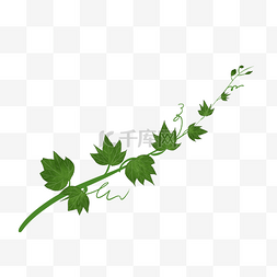 草地细条图片_一条绿色藤蔓装饰背景免抠
