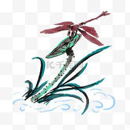 中国风蜻蜓手绘插画