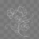白色线描花卉植物