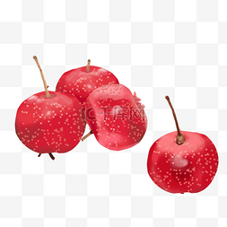 酸酸的山楂图片_红色水果山楂
