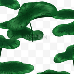 绿色的池塘图片_漂亮的荷叶免抠图