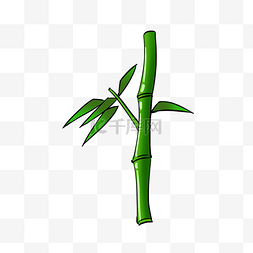 翠绿色竹子