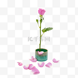 插花花器图片_插花玫瑰花紫色和绿色花器