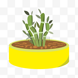 黄色的植物盆栽插画