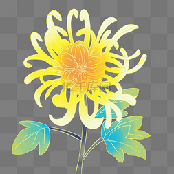 一朵黄色菊花