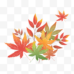 秋季落叶图片_枫叶树叶落叶秋天红叶子一堆枫叶