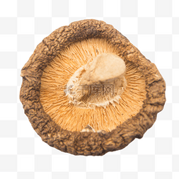 养生餐图片_餐饮食材蘑菇