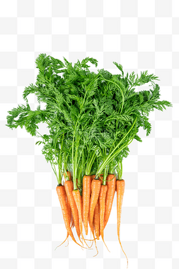 手指萝卜蔬菜