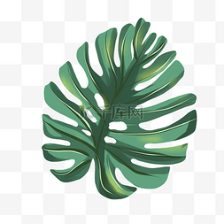 绿色的棕榈树插画