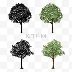 树枝和剪影图片_手绘圆树绿树大树和剪影树枝