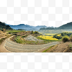 稻田风景图片_稻田稻子和山峰