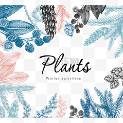 松条图片_莫兰迪冬季素描植物