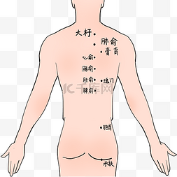 头维穴穴位图图片_人体穴位上身