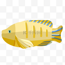 黄色鱼类生物