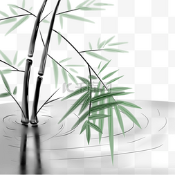水竹绿竹