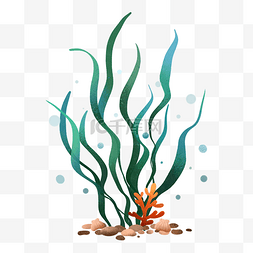 水彩海藻图片_绿色水彩海藻