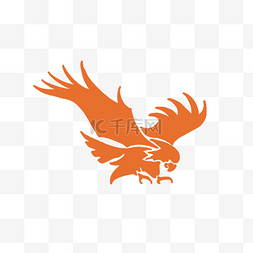 橙色老鹰动物