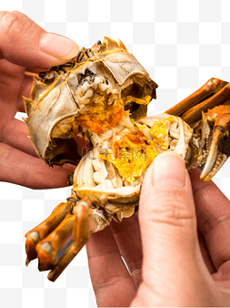 蟹黄虾菜盘图片_复古秋天美食螃蟹的蟹黄