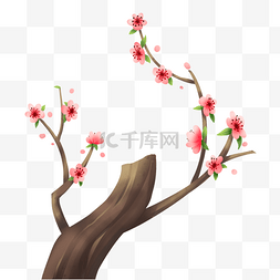 冬天的花梅花图片_树枝上绽放的梅花