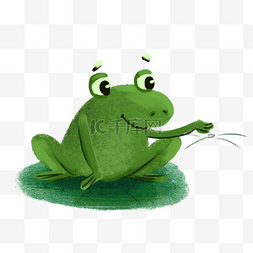 青蛙绿色