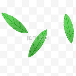 三片绿色卡通的叶子