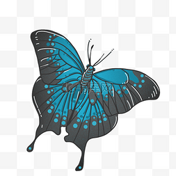 一只蓝色蝴蝶