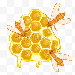 蜂巢蜜蜂蜂蜜