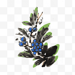 浆果之王图片_蓝莓蓝莓树